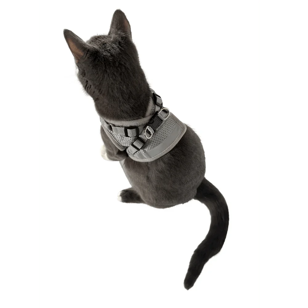 Fur-tive Adventure Set Bundle