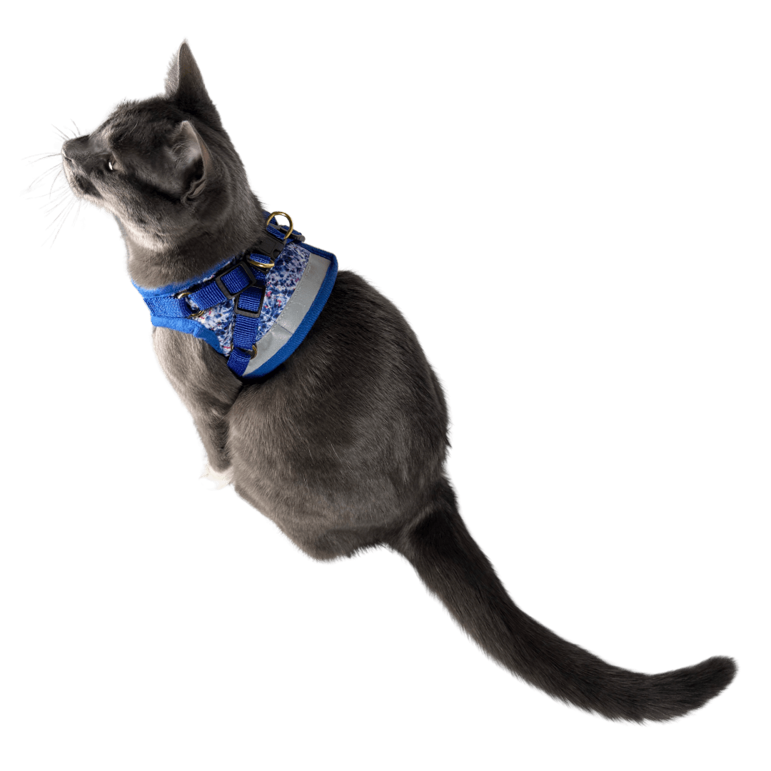 Paws & Waves Bundle