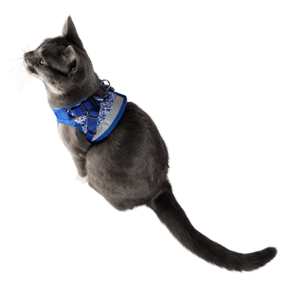 Paws & Waves Bundle