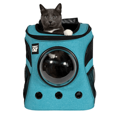 Paws & Waves Bundle