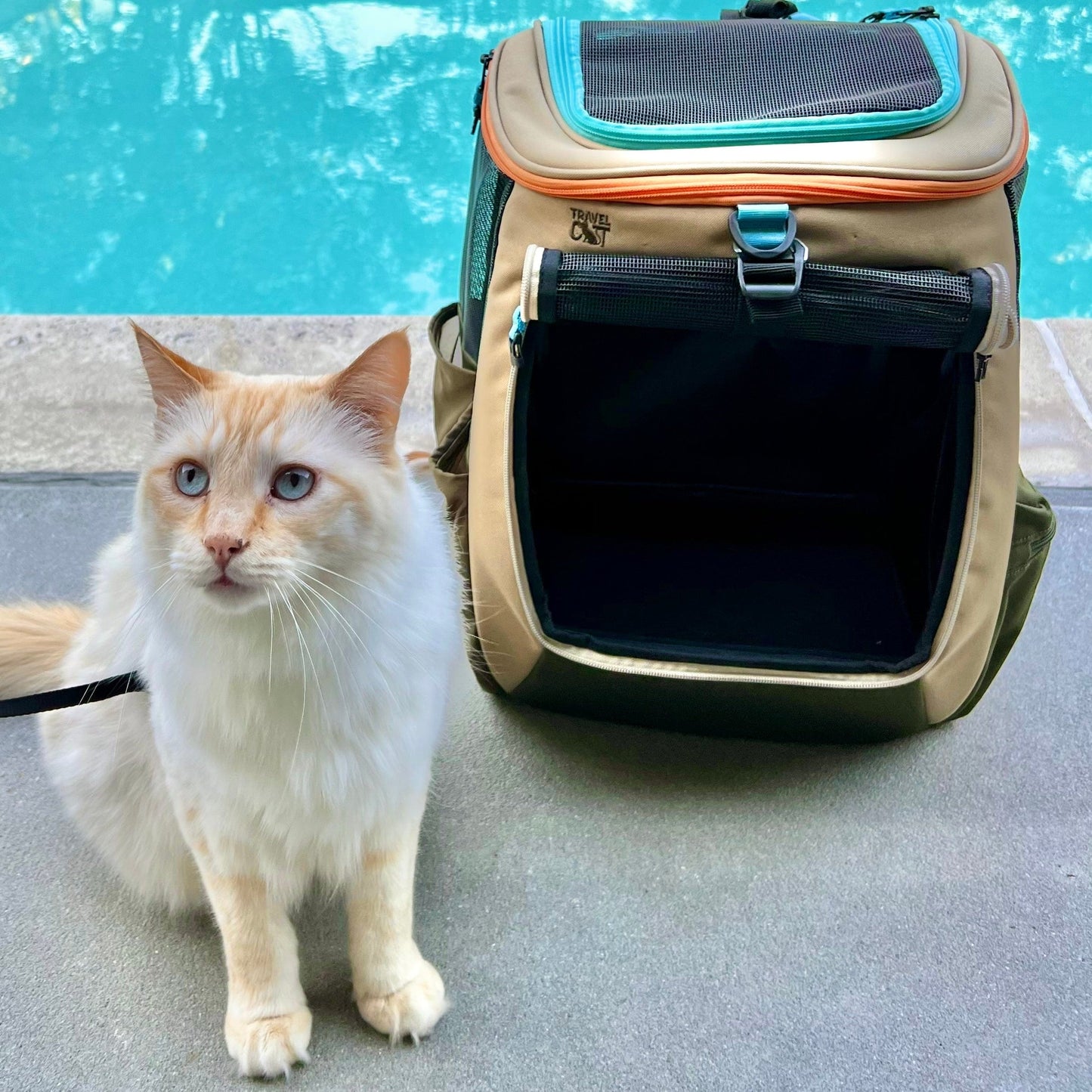 The Navigator Earth" Convertible Cat Backpack