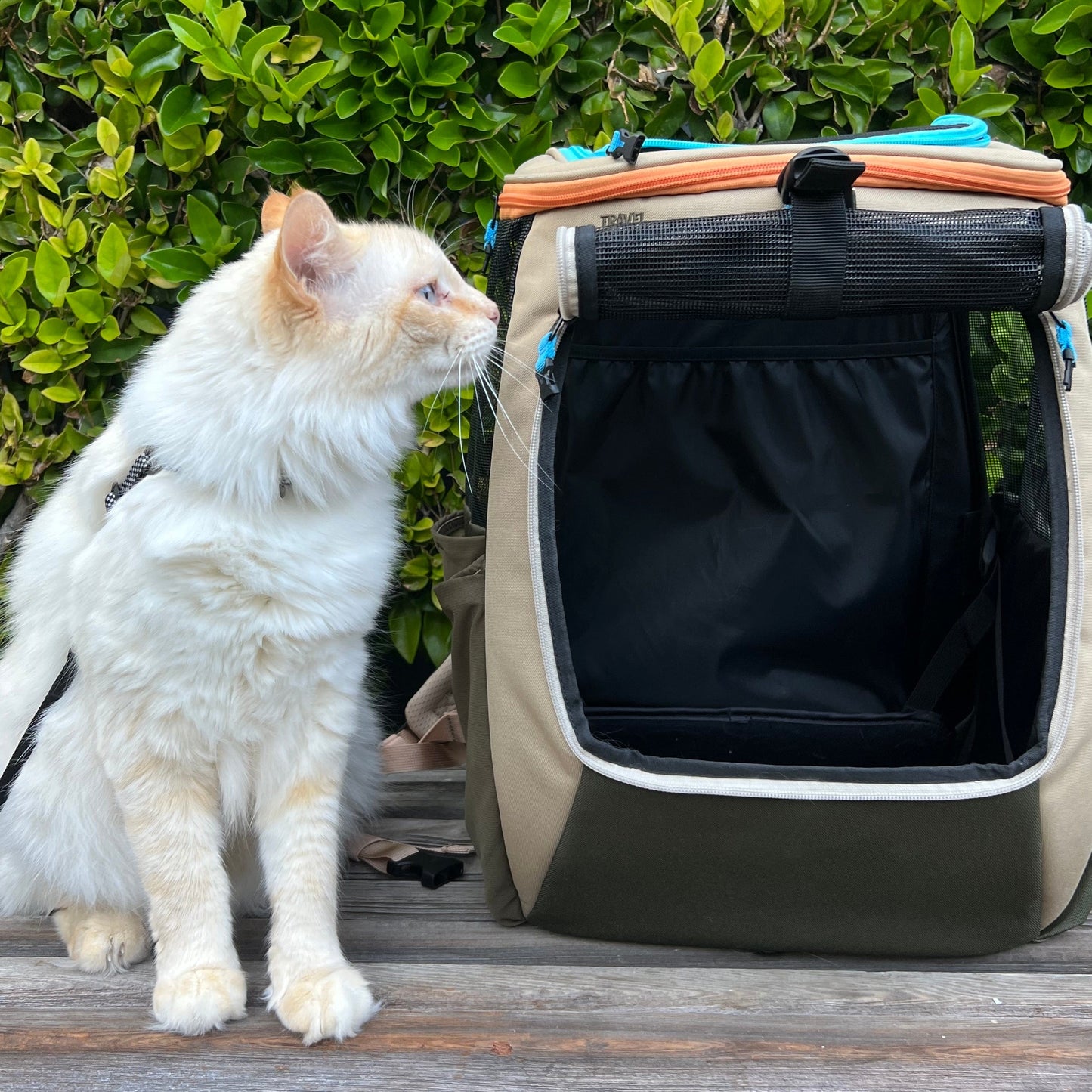The Navigator Earth" Convertible Cat Backpack