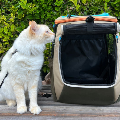 The Navigator Earth" Convertible Cat Backpack
