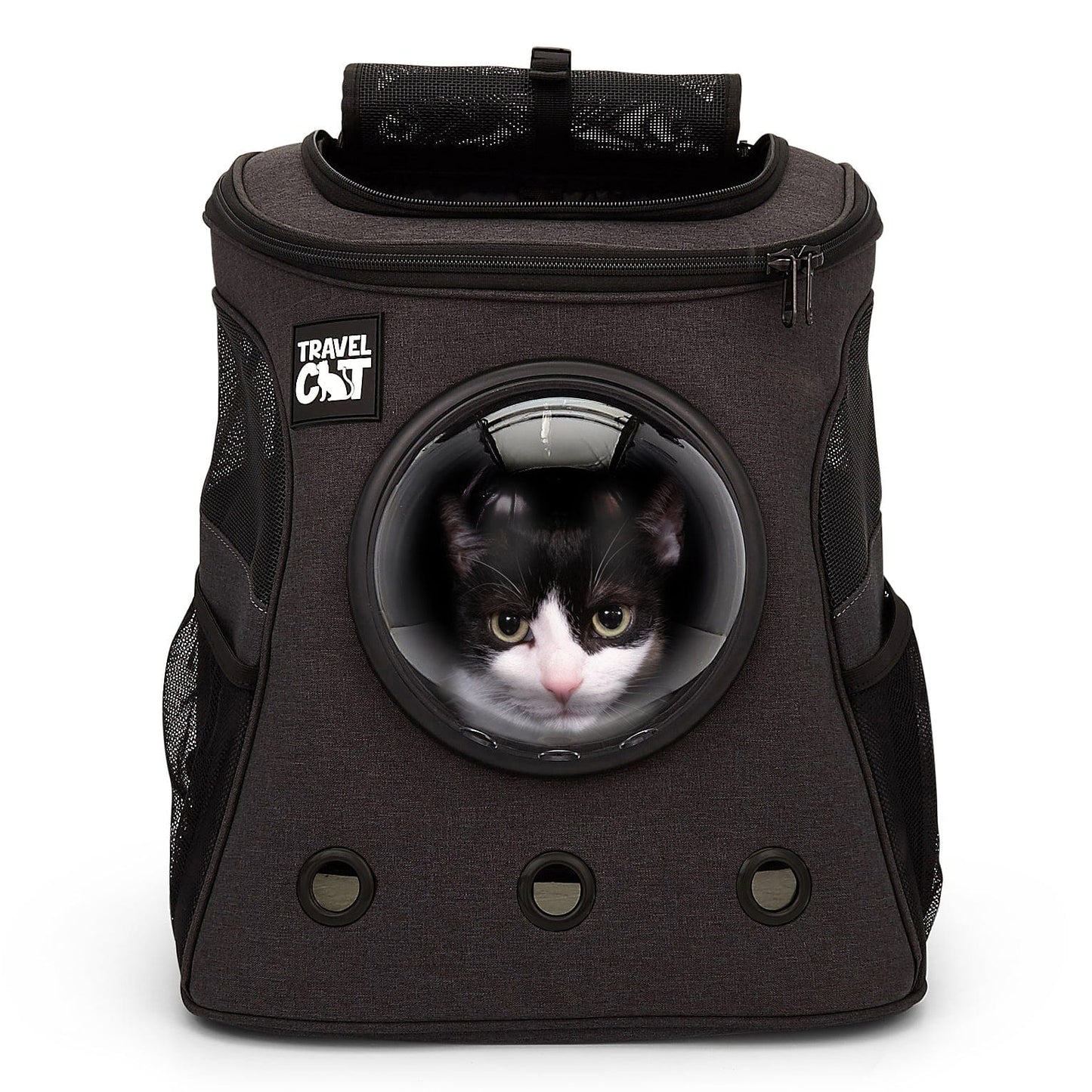 Meowtor City Cruiser Bundle