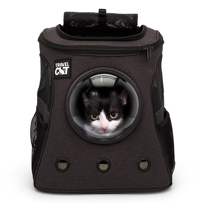 Meowtor City Cruiser Bundle