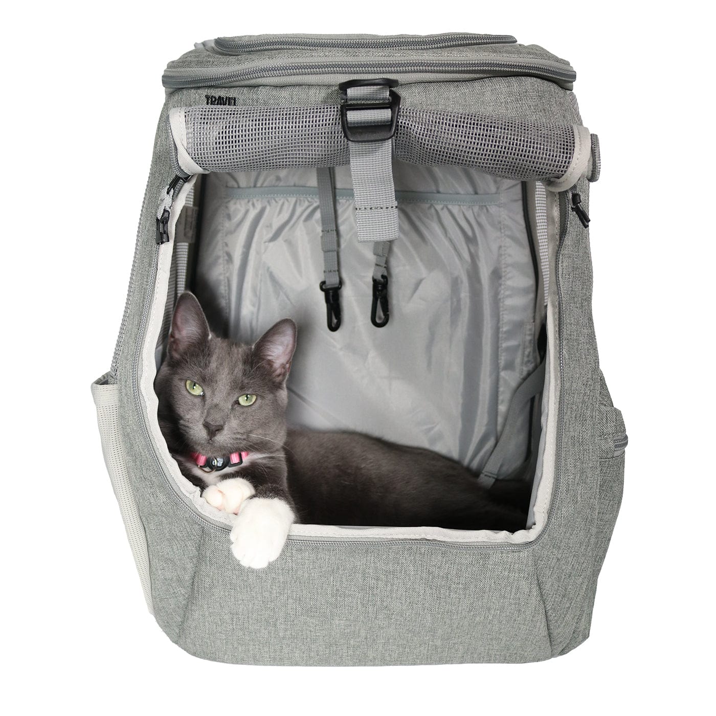 The Navigator Earth" Convertible Cat Backpack