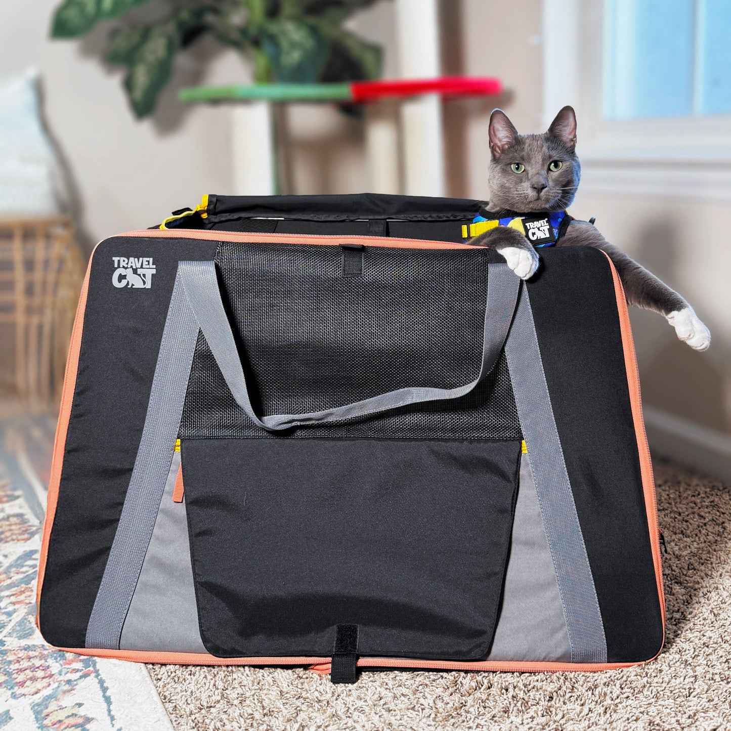 “The Pack N' Paw” Light & Slim Collapsible Cat Crate & Carrier