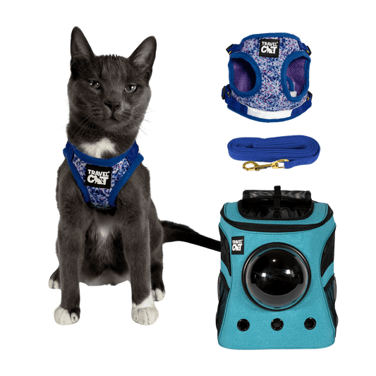 Paws & Waves Bundle