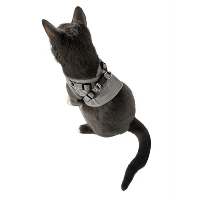 Fur-tive Adventure Set Bundle