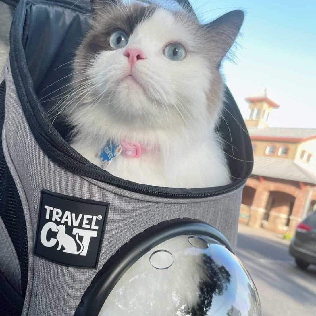 "The Fat Cat" Mini Cat Backpack - Heather Grey